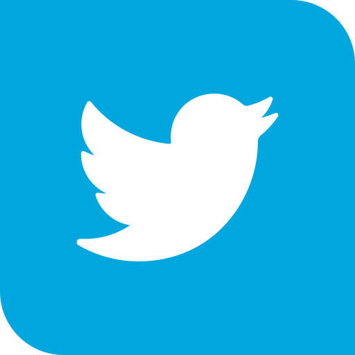 twitter icon